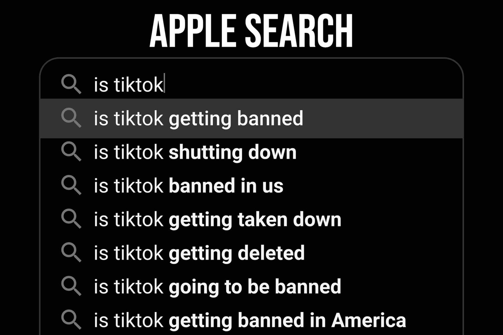 Apple Search- Google search alternative