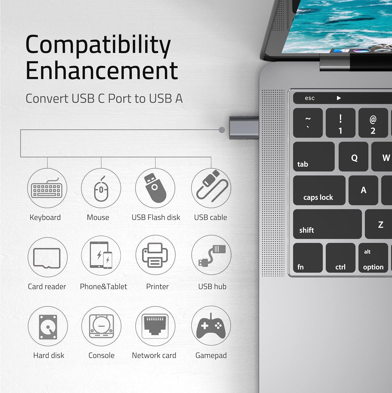 2025 Best USB Type C to USB Adapters to Elevate Your Devices 1 The Global Trend
